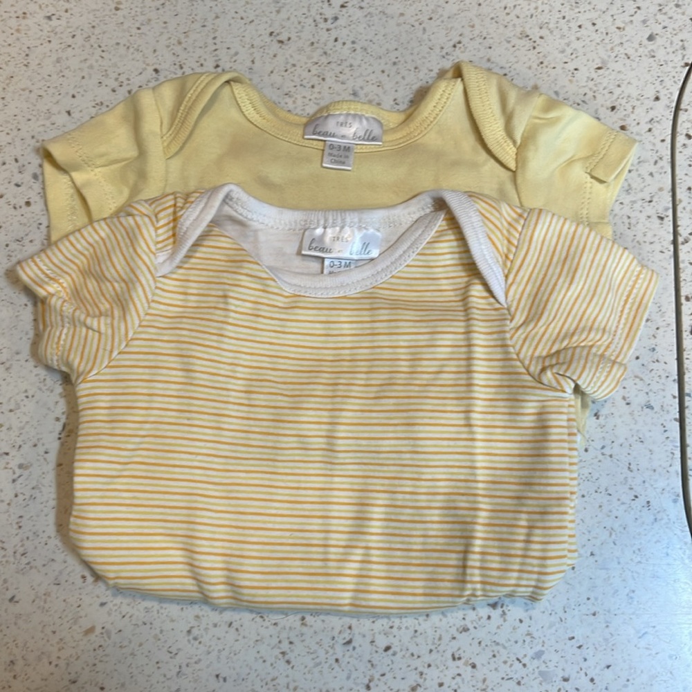 Set of 2- Beau et Belle short sleeve onesies